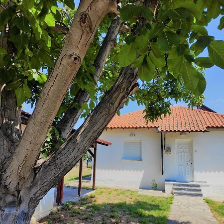 White Clam Vintage House With Sea View & Garden Villa Makrygialos Exterior photo