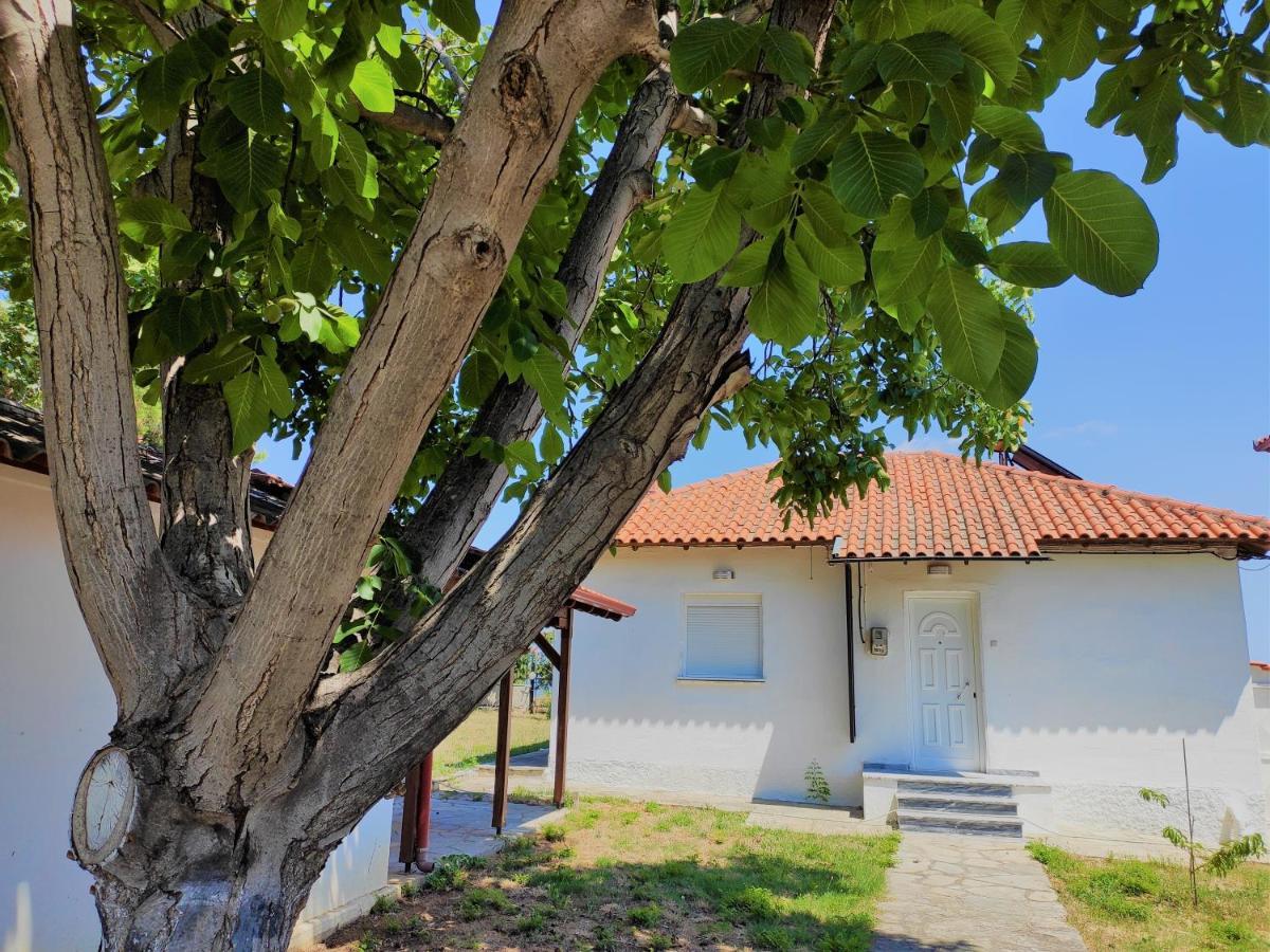 White Clam Vintage House With Sea View & Garden Villa Makrygialos Exterior photo